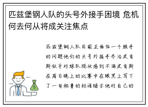 匹兹堡钢人队的头号外接手困境 危机何去何从将成关注焦点