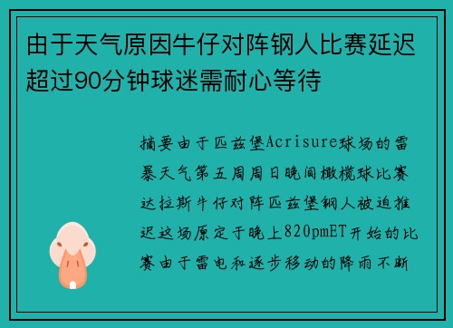 由于天气原因牛仔对阵钢人比赛延迟超过90分钟球迷需耐心等待